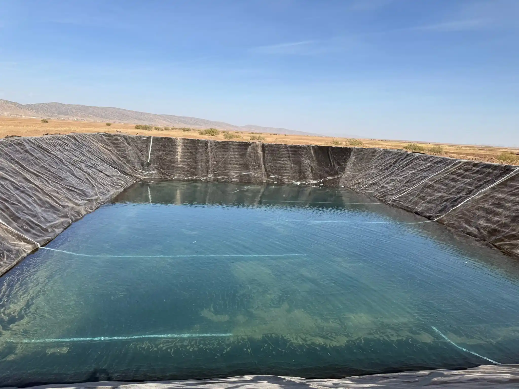مشروع 10