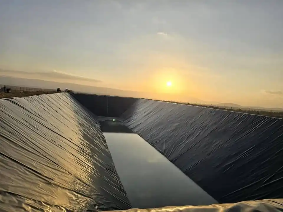 مشروع 6